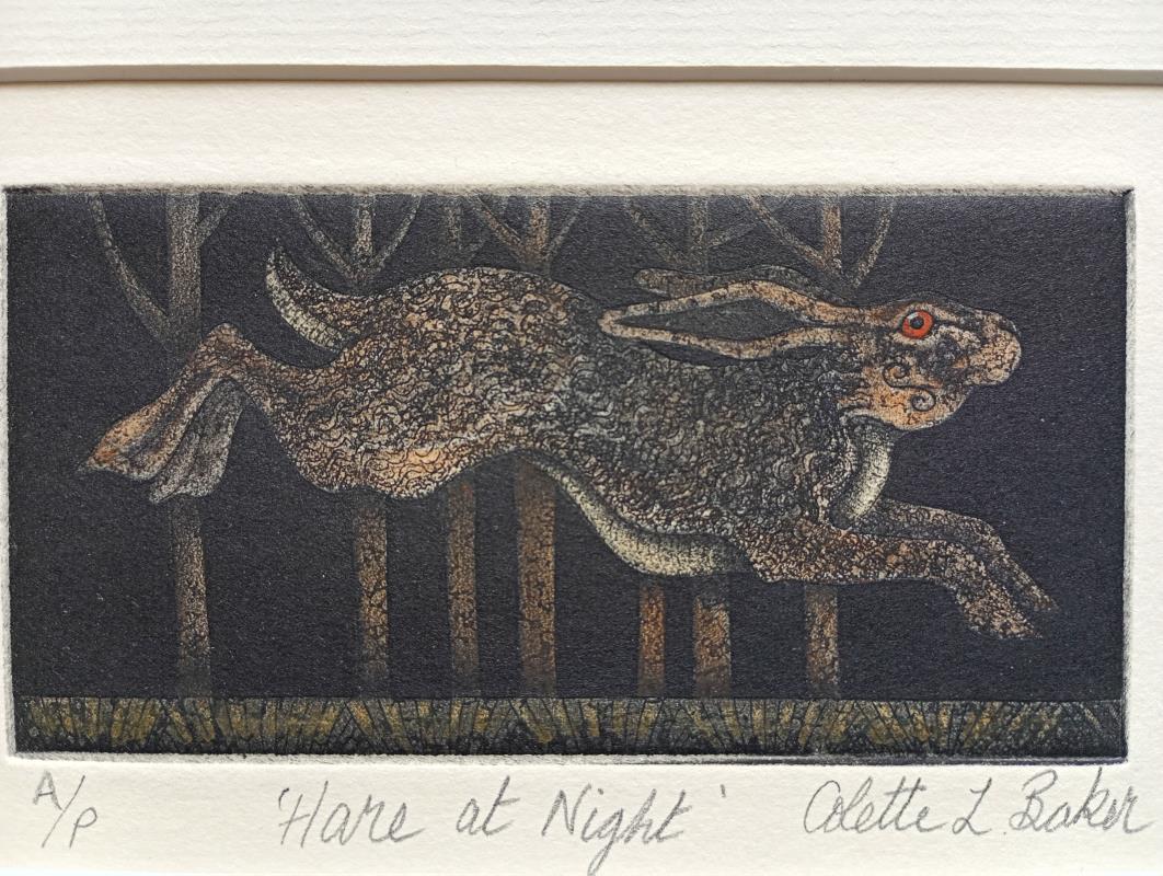 Hare at Night